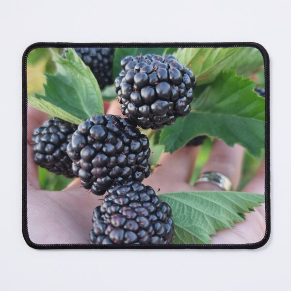 Item preview, Wild Blackberries in Summer designed and sold by AleAlexMari11.