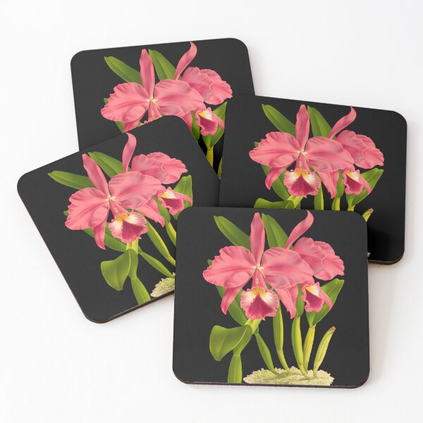 Artikelvorschau, Cattleya Labiata Orchid Botanical Aesthetic T-Shirt | Pink Orchid entworfen und verkauft von GreenVerseStore.