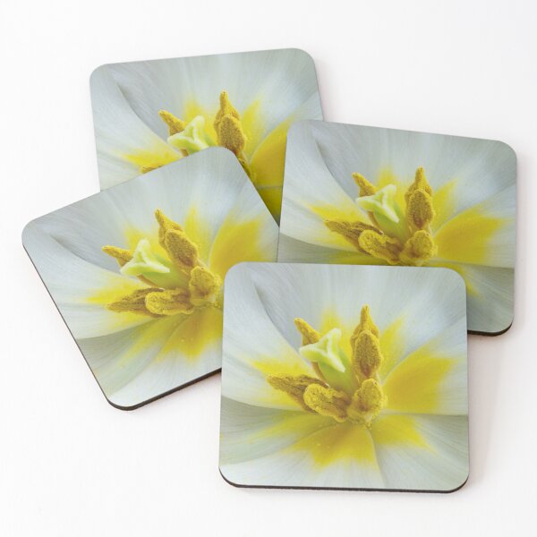 Item preview, White Tulip designed and sold by JeanKellyPhoto.