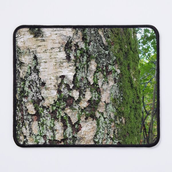 Item preview, Birch trunk designed and sold by Carina Jern.