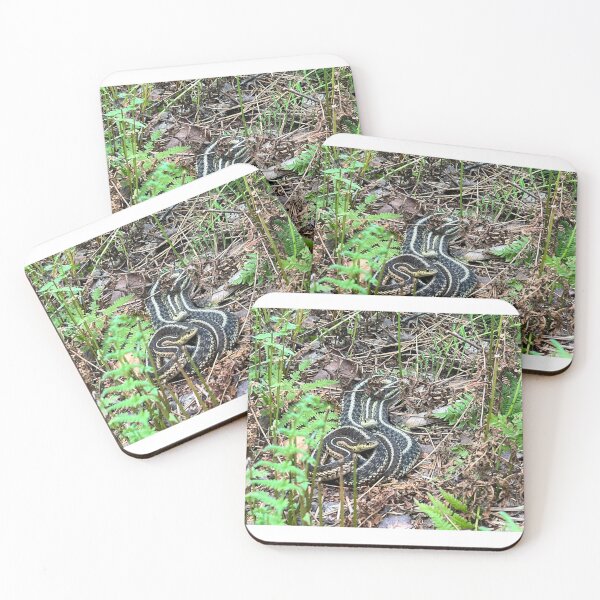 Item preview, Pair of Garter Snakes designed and sold by FishNerd2006.