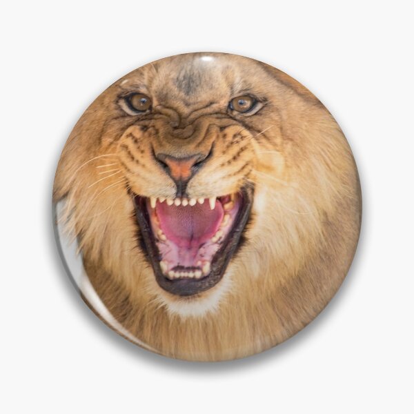 Aperçu de l'œuvre Jeune lion créée et vendue par FishNerd2006.