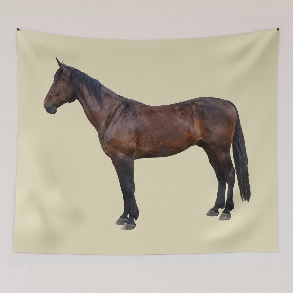 Item preview, Morgan Horse in Profile designed and sold by Susan Savad.