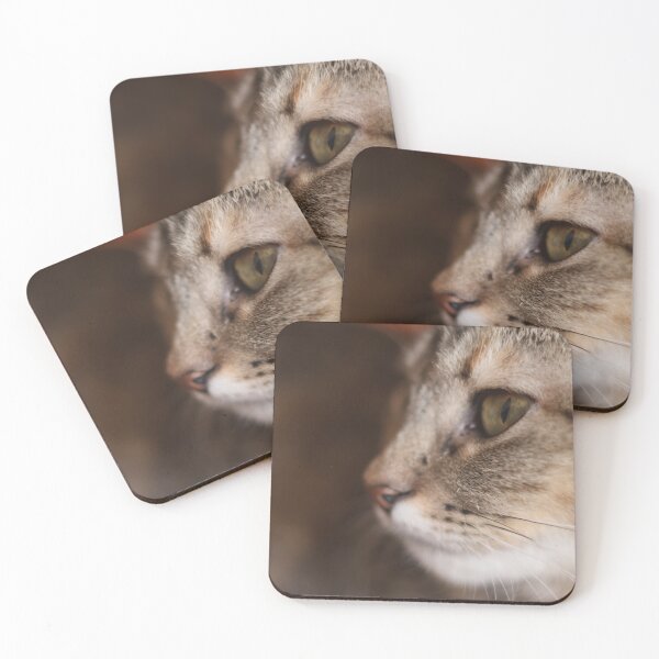 Item preview, Cat in the foreground – Photography with a blurred background designed and sold by Deathcocoshots.
