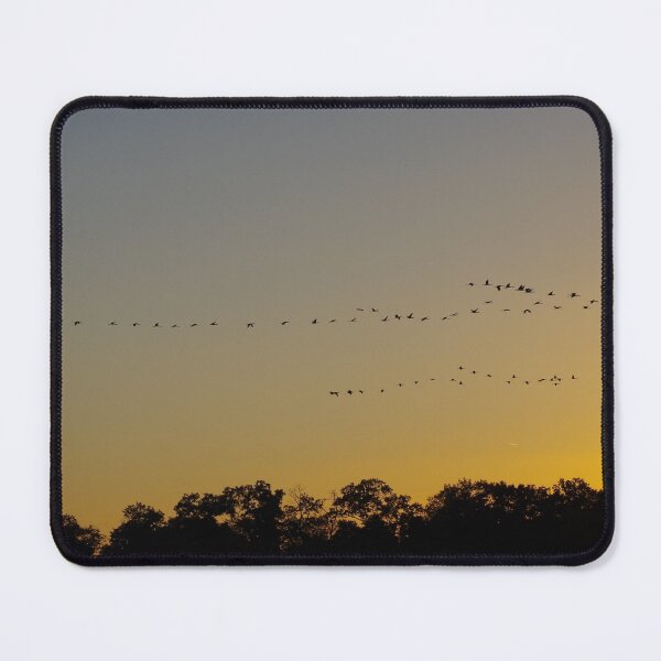 Item preview, Sandhill Cranes designed and sold by FishNerd2006.
