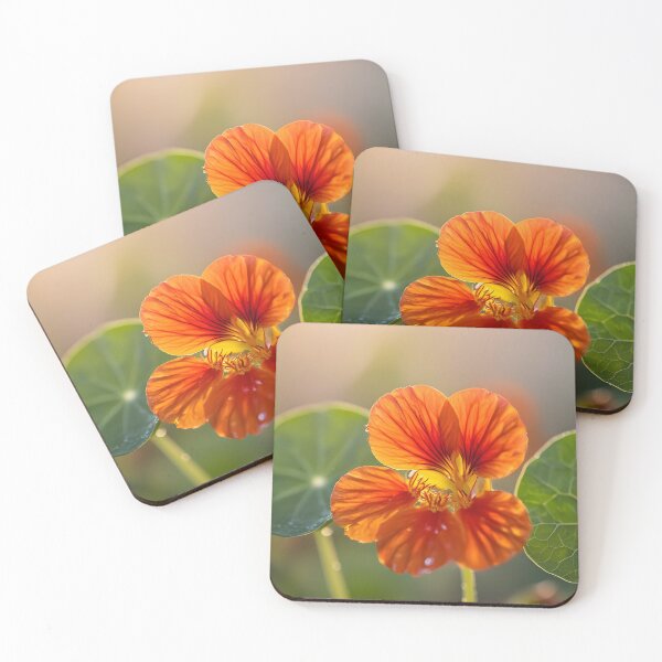 Item preview, Vibrant Orange Nasturtium Flower in Warm Sunlight designed and sold by Sybille-Yates.