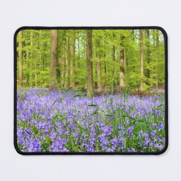 Item preview, Bluebells in sunny forest designed and sold by AsahiNoAme.