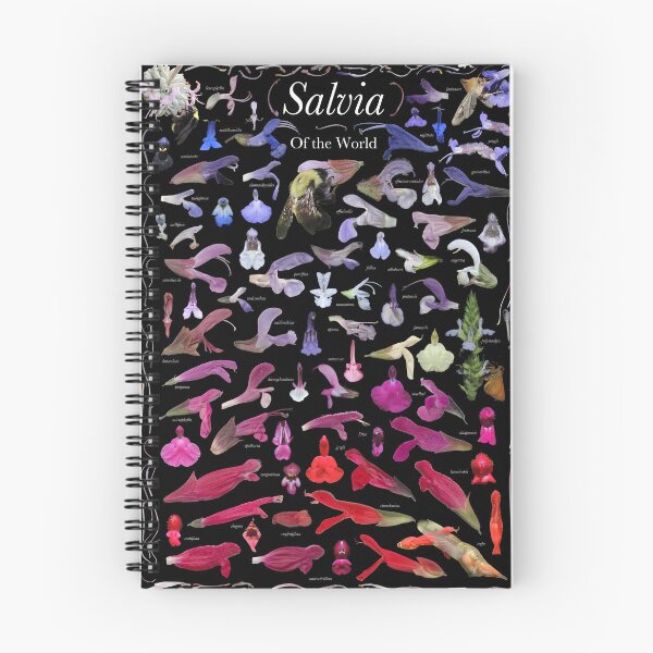 Item preview, Salvia of the World 1 designed and sold by Ricardo Kriebel.