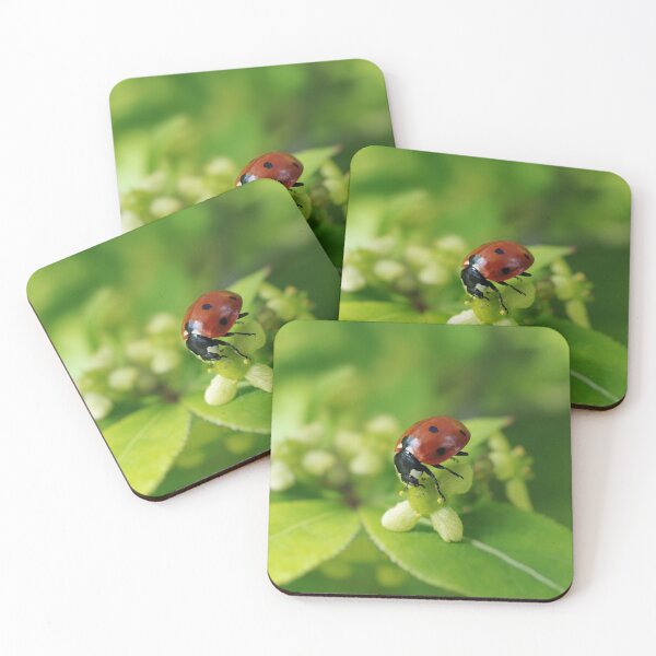 Item preview, Beautiful ladybug on white flower designed and sold by AsahiNoAme.