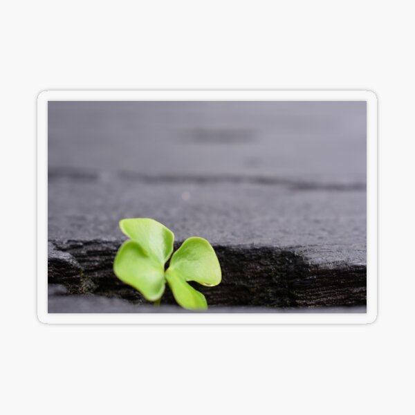 Item preview, Life Finds a Way designed and sold by KerrySandhuArt.