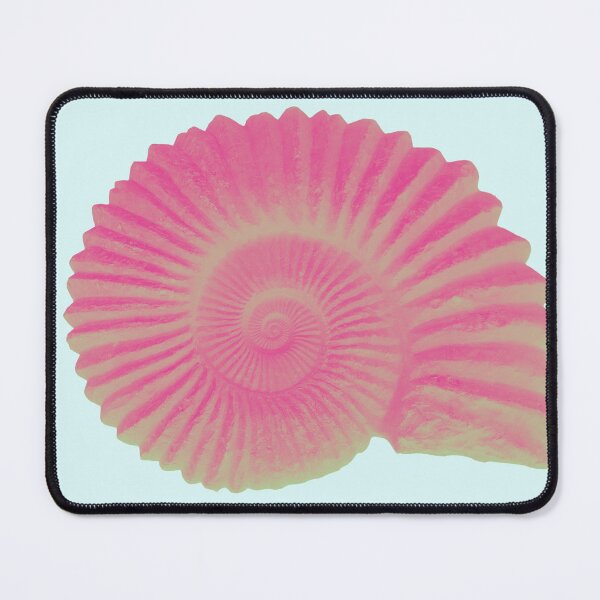 Item preview, Ammonite Shell designed and sold by k8studio.