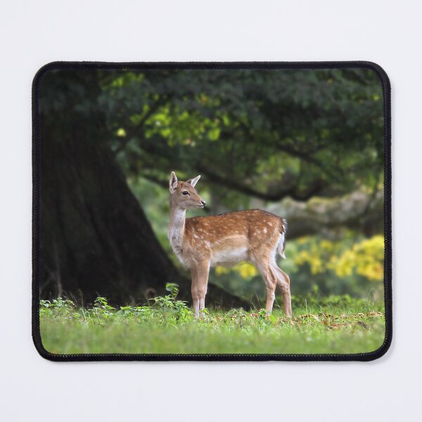 Item preview, on her guard designed and sold by Murph's Images.