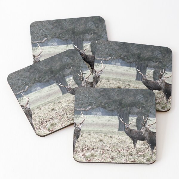 Item preview, Stag Party designed and sold by Murph's Images.