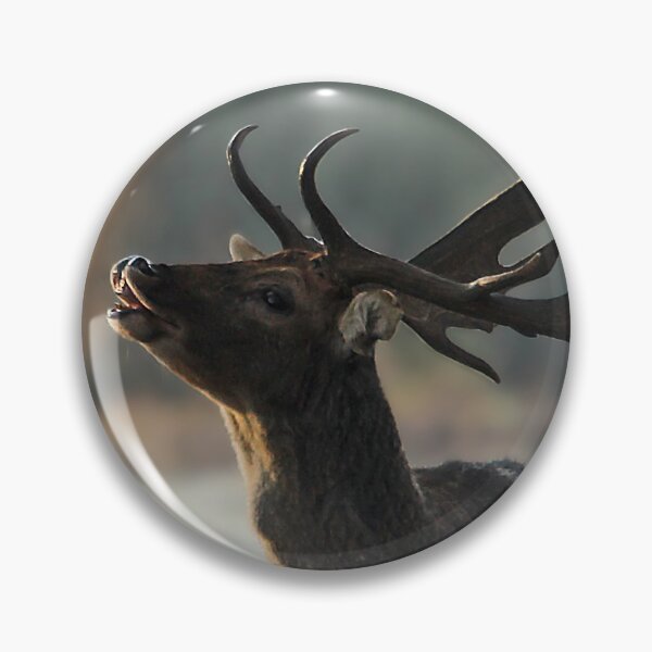 Item preview, something in the air designed and sold by Murph's Images.