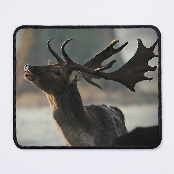 Item preview, something in the air designed and sold by Murph's Images.