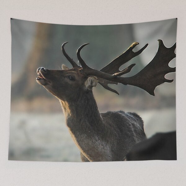 Item preview, something in the air designed and sold by Murph's Images.