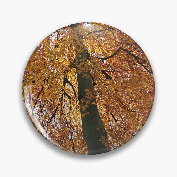 Item preview, life's a beech designed and sold by Murph's Images.