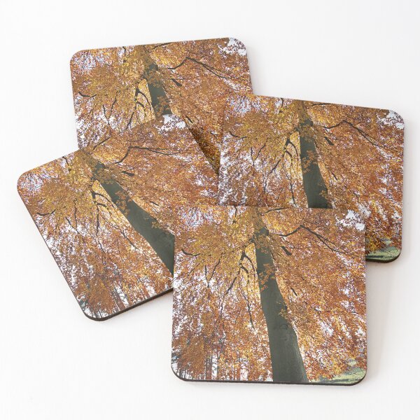 Item preview, life's a beech designed and sold by Murph's Images.