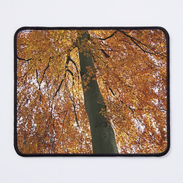 Item preview, life's a beech designed and sold by Murph's Images.