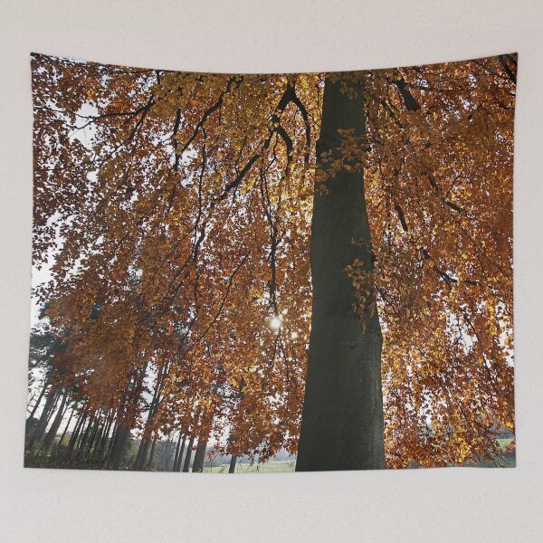 Item preview, life's a beech designed and sold by Murph's Images.