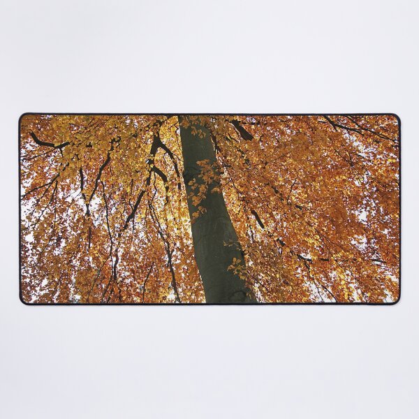 Item preview, life's a beech designed and sold by Murph's Images.