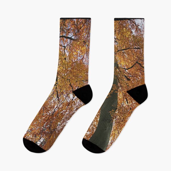 Item preview, life's a beech designed and sold by Murph's Images.