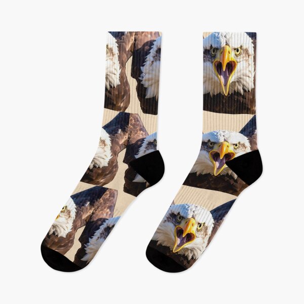 Item preview, Bald eagle close-up flying designed and sold by Creative Visualize.