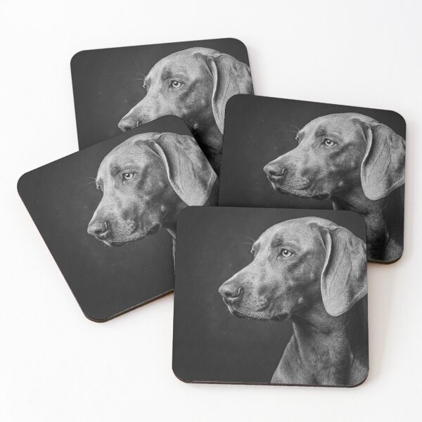 Item preview, Star profile designed and sold by PASSION AND FUN WORLD .