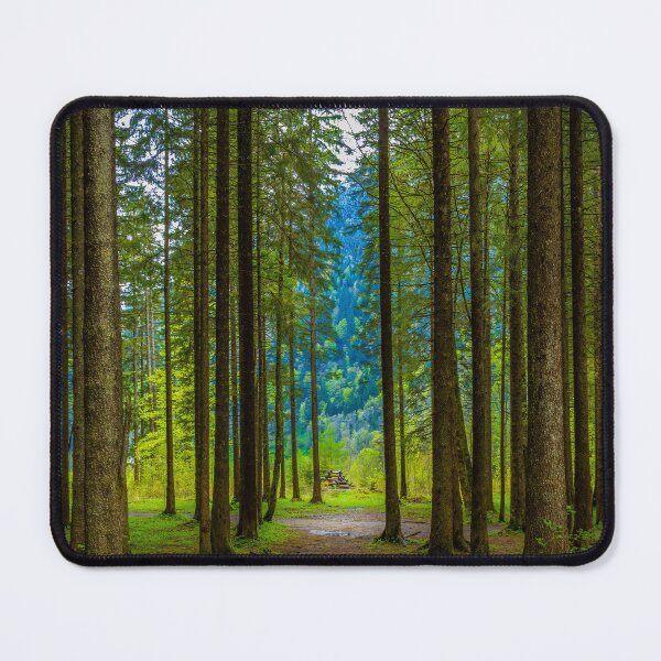 Item preview, Tall Trees designed and sold by Viv Thompson Photography .