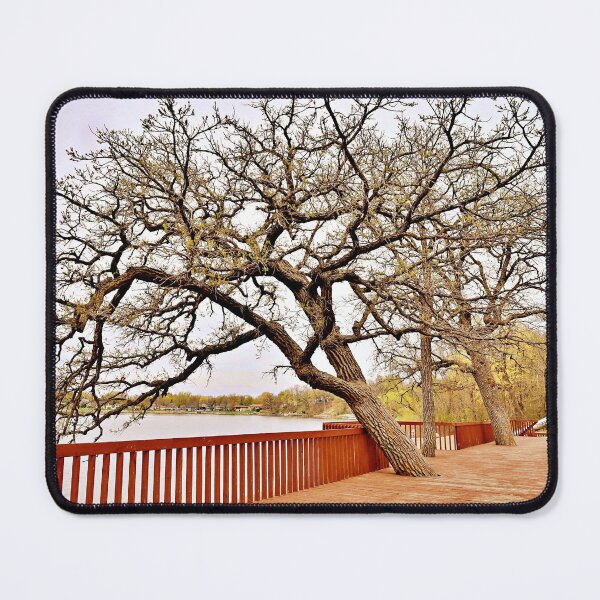 Item preview, Spring Trees Leaning Toward the Lake designed and sold by Martha Sherman.