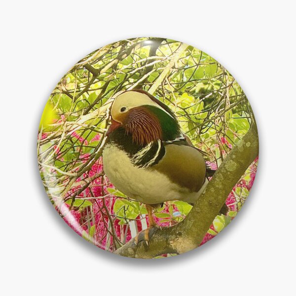 Item preview, Colourful London Mandarin Duck Amidst Azaleas designed and sold by The Running London Photographer.