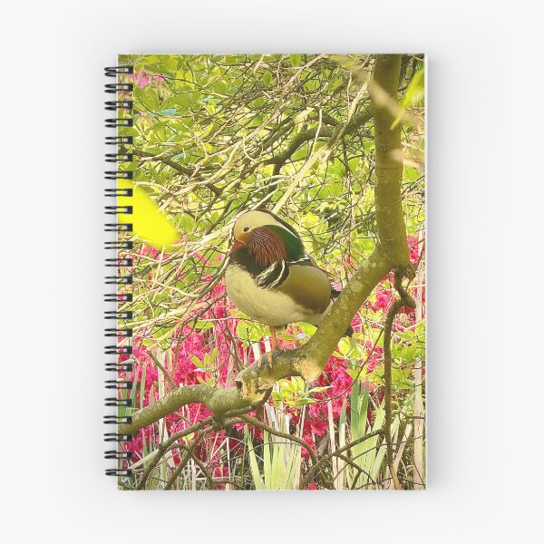 Item preview, Colourful London Mandarin Duck Amidst Azaleas designed and sold by The Running London Photographer.
