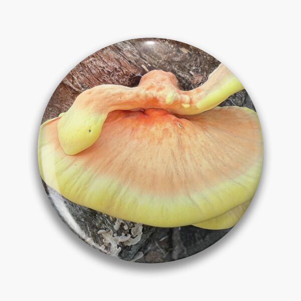 Item preview, Pollo del bosque designed and sold by FishNerd2006.