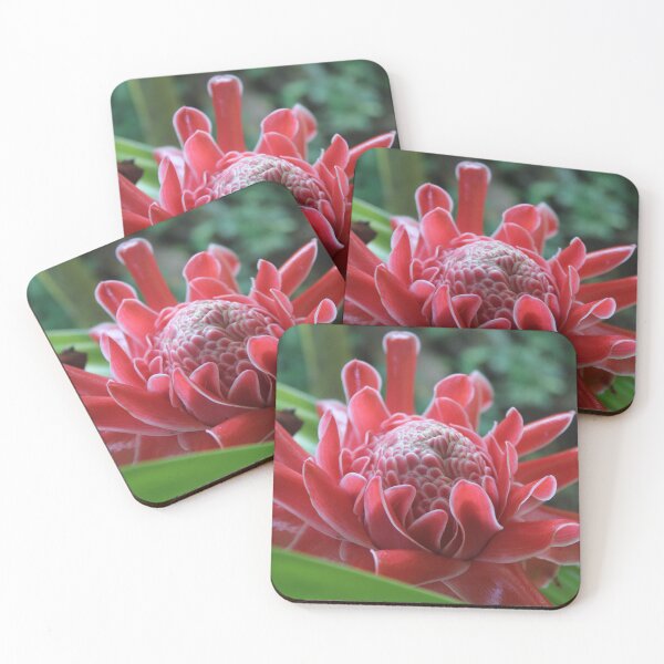 Item preview, Exotic Pink Flower in Full Bloom – Macro Nature designed and sold by Cha-s-lens.