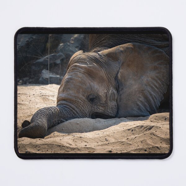 Item preview, Resting Giant - African Elephant Laying in the Sand Photography designed and sold by AbulailArt.