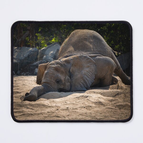 Item preview, Sleepy Elephant in Sand - Relatable Wildlife Photography designed and sold by AbulailArt.