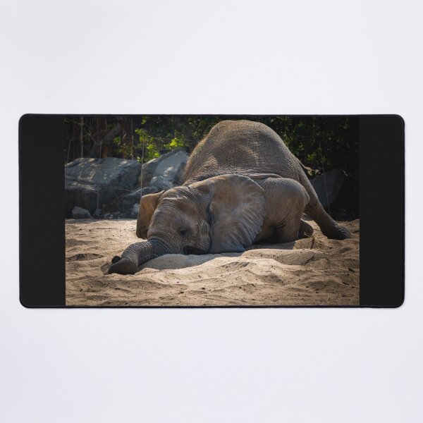 Item preview, Sleepy Elephant in Sand - Relatable Wildlife Photography designed and sold by AbulailArt.