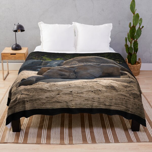 Item preview, Sleepy Elephant in Sand - Relatable Wildlife Photography designed and sold by AbulailArt.