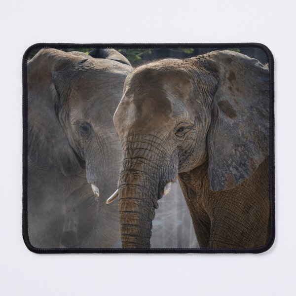 Item preview, Funny Elephant Duo Wildlife Photography Graphic designed and sold by AbulailArt.