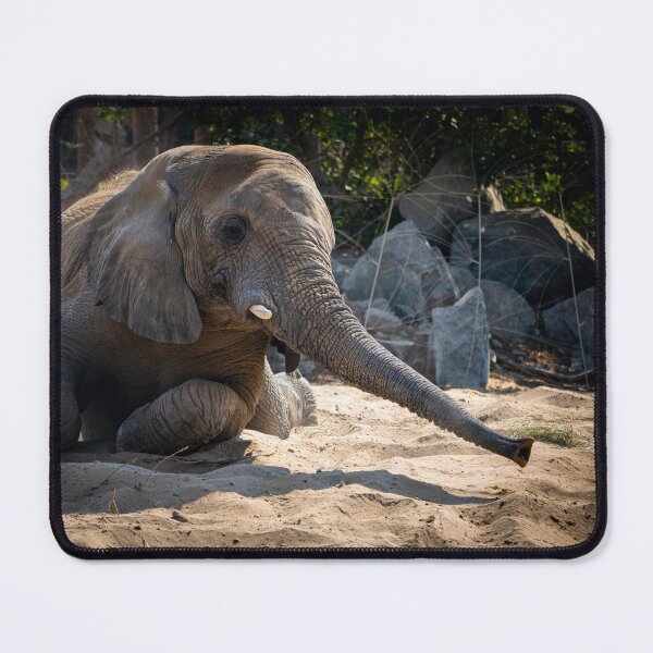 Item preview, African Elephant Resting on Sand - Majestic Wildlife Nature Photo designed and sold by AbulailArt.