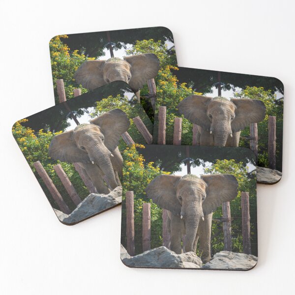 Item preview, African Elephant Frontal View - Majestic Savannah Giant Wildlife Photography designed and sold by AbulailArt.