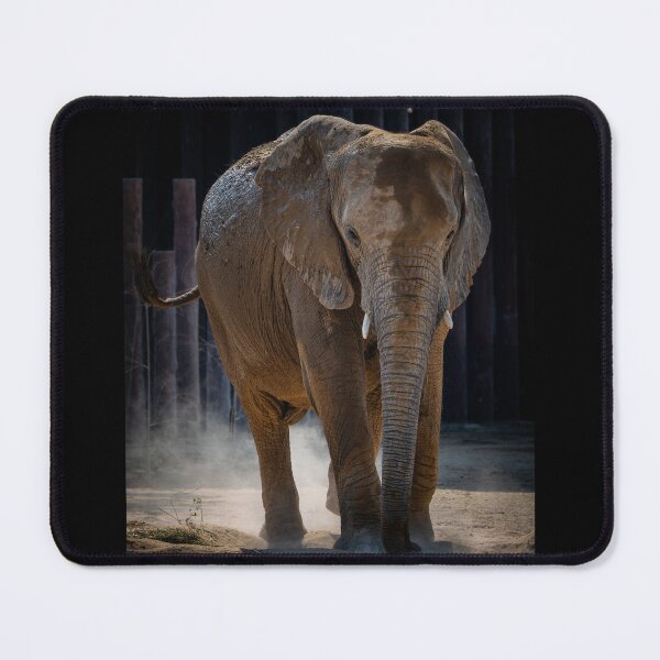 Item preview, Majestic African Elephant Standing Tall - Moody Dust Wildlife Photography designed and sold by AbulailArt.