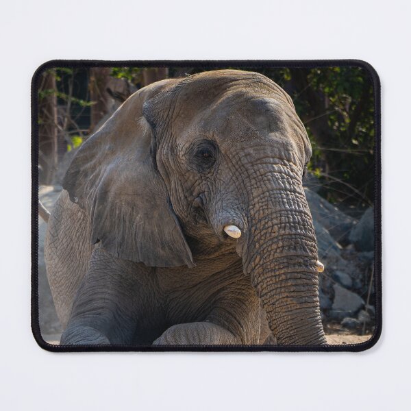Item preview, Majestic African Elephant Close Up - Powerful Wildlife Photography and Safari Art designed and sold by AbulailArt.
