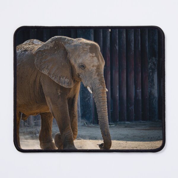 Item preview, Majestic African Elephant Walking - Cinematic Safari Wildlife Photography designed and sold by AbulailArt.