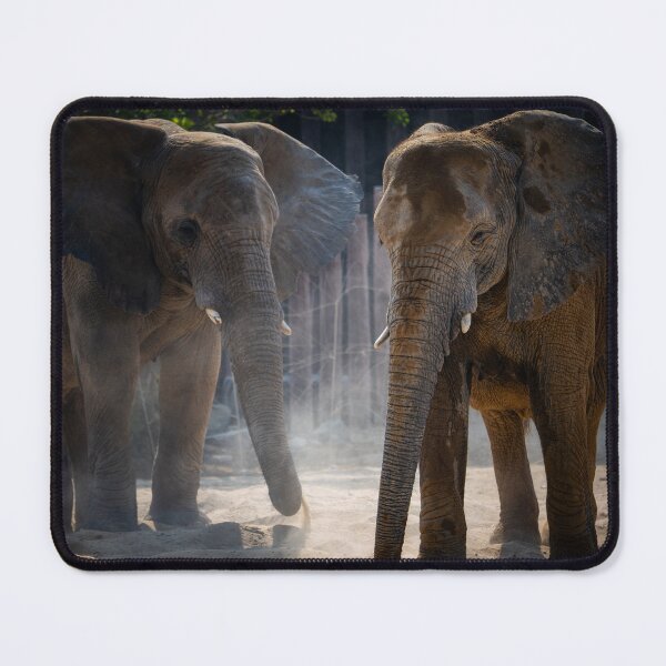 Item preview, Two African Elephants - Majestic Safari Wildlife Photography designed and sold by AbulailArt.