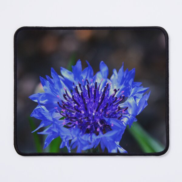 Item preview, Azure Bud designed and sold by PictUrPoise.