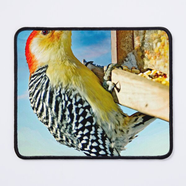 Item preview, Redbellied Woodpecker. Male on Bird Feeder designed and sold by AMacGPhilly.