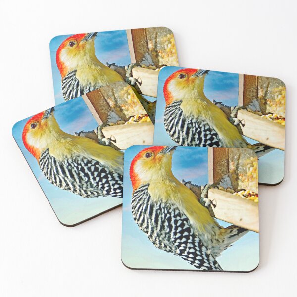 Item preview, Redbellied Woodpecker. Male on Bird Feeder designed and sold by AMacGPhilly.