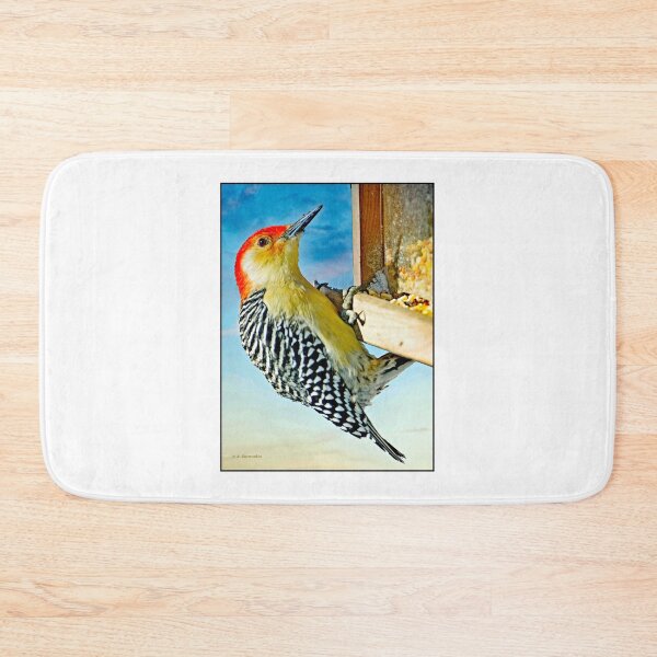 Item preview, Redbellied Woodpecker. Male on Bird Feeder designed and sold by AMacGPhilly.