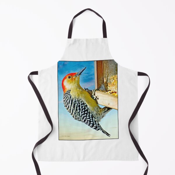 Item preview, Redbellied Woodpecker. Male on Bird Feeder designed and sold by AMacGPhilly.